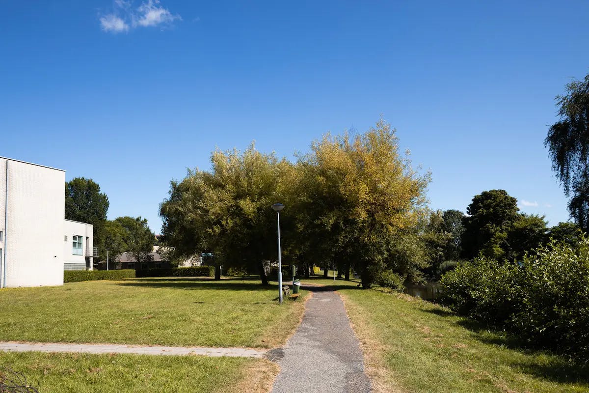 Op deze woningen van de Hartekampgroep krijgen psychologie of social work studenten de kans om praktijkervaring op te doen met een bijbaan in de zorg.