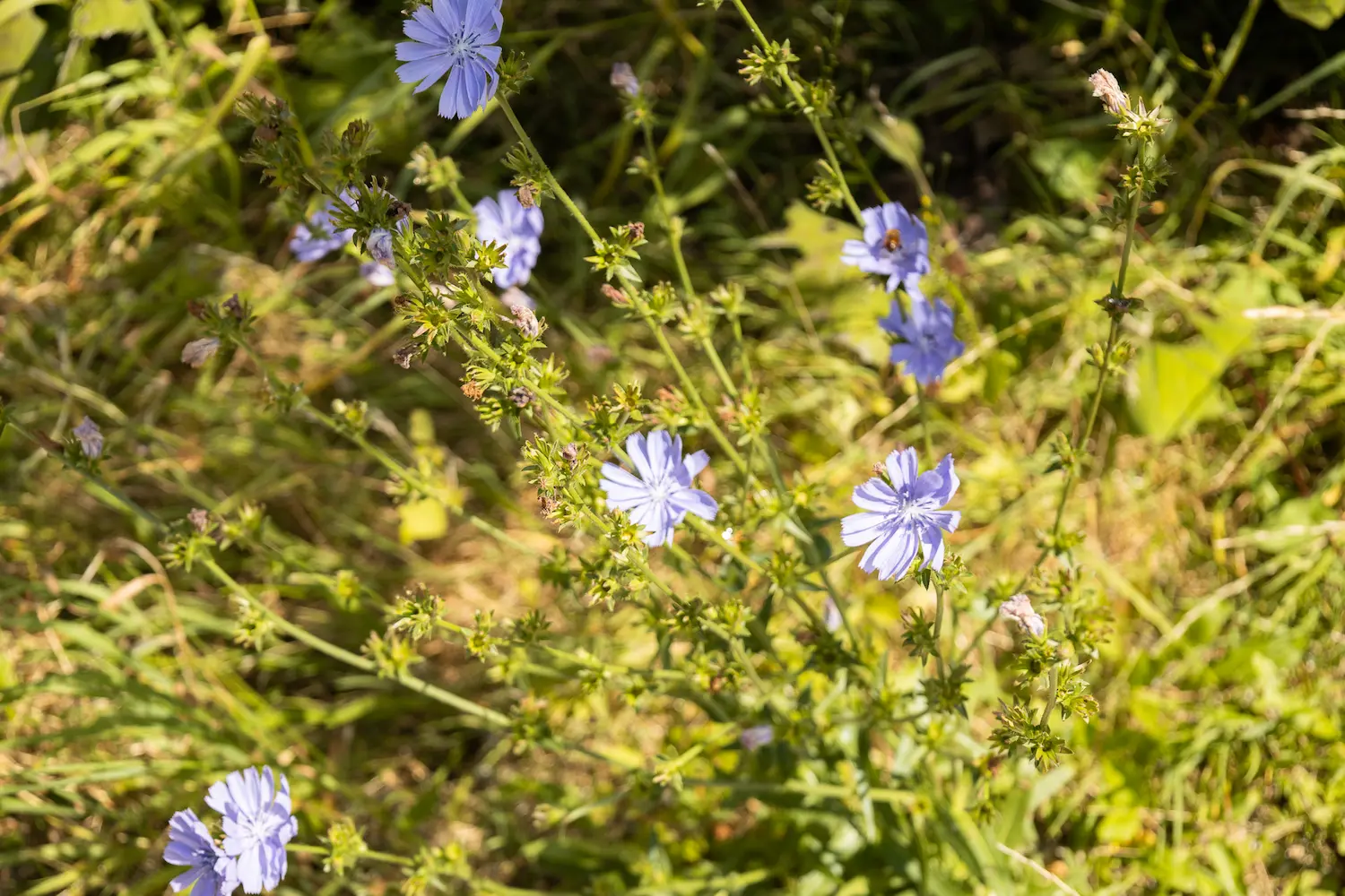 Werken met complex gedrag is een uitdaging voor studenten die geïnteresseerd zijn in het analyseren van gedragingen. Een bijbaan in de zorg bij het Franciscushuis biedt studenten daarvoor de perfecte praktijkervaring.