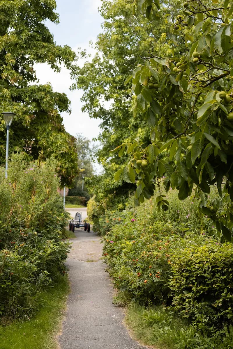Het Rembrandthuis is specifiek gericht op de ouder wordende cliënten. De bewoners van het Rembrandthuis vormen een mix van verschillende ontwikkelingsniveaus waardoor studenten hier enorm veel werkervaring op kunnen doen.