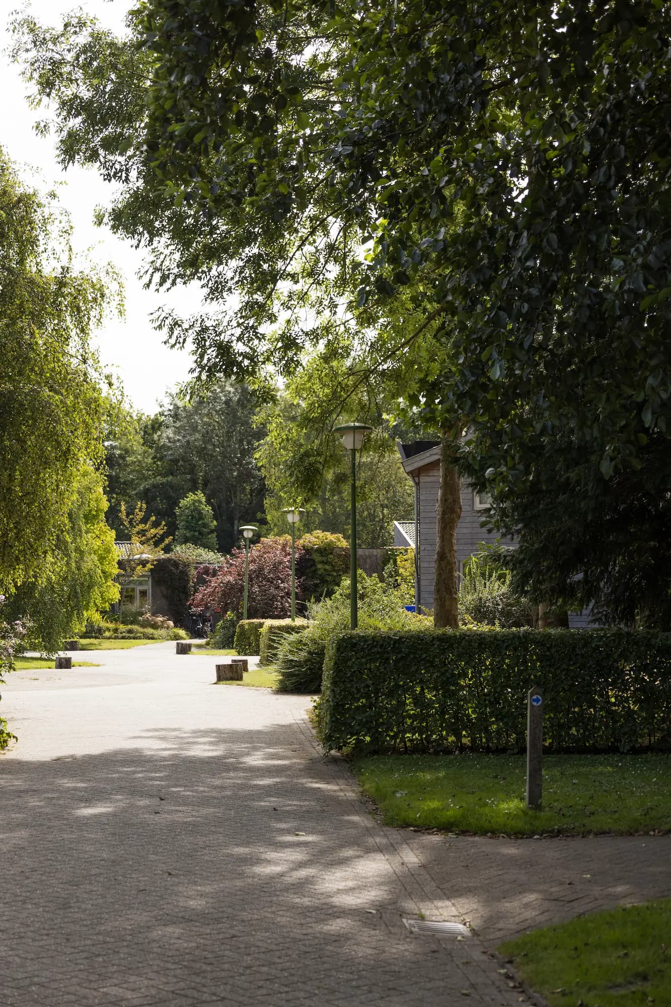 Op het Midgard terrein van de Raphaëlstichting kunnen hbo- en wo studenten praktijkervaring opdoen in de zorg.