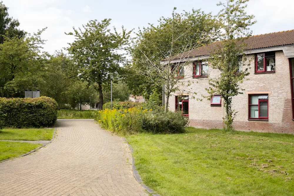 Het Rembrandthuis is specifiek gericht op de ouder wordende cliënten. De bewoners van het Rembrandthuis vormen een mix van verschillende ontwikkelingsniveaus waardoor studenten hier enorm veel werkervaring op kunnen doen.